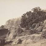 Malabar Hill, the remote settlement away from Mumbai city, and its tigers: Malabar Hill is one of the most affluent and elite localities in #Mumbai and in India. But, do you know