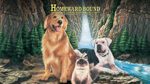 Last step is an adventure in which you will need to fly through forests, desert, etc. Watch Homeward Bound Ii Lost In San Francisco Prime Video