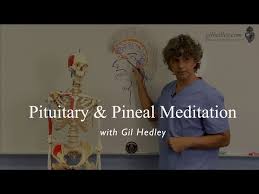 Does A Girl'S Height Increase At The Age Of 25? - Quora