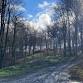 Okeford Hill Bike Park Entry and Uplift event image