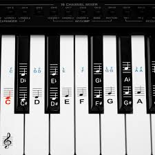 Französisch clavier, italienisch tastiera, älter auch tastatura; Ø®ÙÙ Ø­Ù…Ø§Ù… Ø§Ù„ÙƒØ±Ù†Ø¨ Klaviertastatur Mit Beschriftung Amazon Dsvdedommel Com