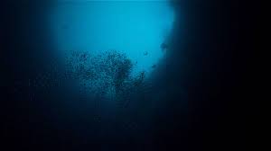 deep 'blue hole' off florida