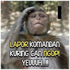 What is considered a meme may vary across different communities on the internet and is subject to change over time. 15 Ide Humor Di 2021 Gambar Lucu Lucu Sms Lucu