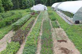 Slow Flowers Podcast Millennials Who Grow Flowers Meet Gretel Flower Farm Growing Flowers Farm Layout