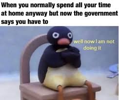 May 20, 2021 · cricket news: 13 Funniest Coronavirus Memes To Keep You Amused While You Re On Lockdown