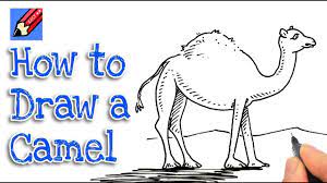 Draw an egg shape for the body. How To Draw A Camel Real Easy Step By Step Youtube