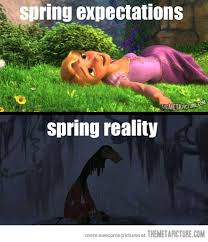 Spring Expectations Vs Reality Disney Memes Funny Pictures Humor