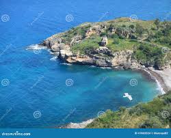 Image result for Milicia