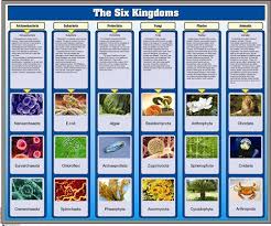 Montessori Materials The Six Kingdoms Chart With Cards