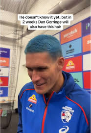 Bulldog Hair Transformations: Dan Gorringe's Journey