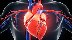 হার্ট অ্যাটাকের ৮টি লক্ষণ অবহেলা না করে আজই জানুন