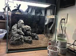 Hardscape Swipe To See A Timelapse Of Me Fiddling Around With The Rocks For Way Longer Than I D Like To Admit But I Got There Eventually Rocks Black L
