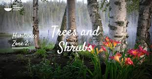 Stop by your favorite nursery or local extension office to find out which varieties will do best. Trees Shrubs You Can Grow In Hardiness Zone 2