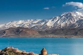 Image result for Vanwykia