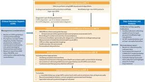 Image result for COPD Exacerbation Decision Tool