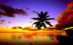 Sunset wallpapers for 4k, 1080p hd and 720p hd resolutions and are best suited for desktops, android phones, tablets, ps4 wallpapers. Beach Sunset Desktop Wallpapers Top Free Beach Sunset Desktop Backgrounds Wallpaperaccess