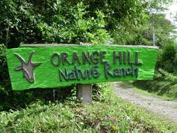 Image result for orange hill nature ranch yogurt