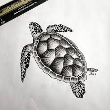Sea Turtle Tattoo Turtle Tattoo Designs Turtle Tattoo Sea Turtle Drawing Turtle Sketch Tattoo Sketches Turtle Drawing Sea Turtle Tattoo Sea Turtle Drawing