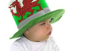 From Aderyn to Wynny, find a full list of Welsh Girls names and their  meanings online at Wales101.com. Names from G to Z