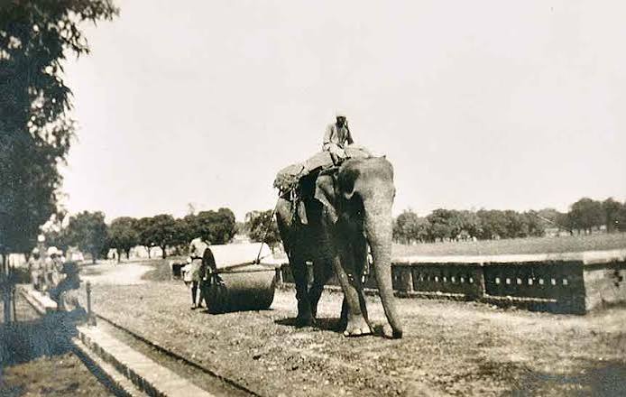 Elephant Hauling Road Roller British India, Photo 1925 - Past-India