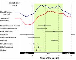 circadian acrophase chart for various parameters in plasma