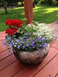 Mar 04, 2021 · line your front steps with pots of bright blue hydrangeas for a cheery welcome. Red White Blue Planter The Onset Of Spring S Abundance Captured In Container Planters Blue Flowers Garden Outdoor Garden Planters White And Blue Flowers