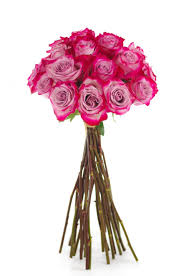 If you are getting a bouquet of this, that person is definitely enchanted by you at the first meeting. Deep Purple Rose Wedding Flowers Wholesale Flower Explosion