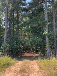 The North Carolina State Senator That Was Buried Inside a Rock