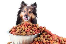 Victor premium dog food is distributed thru a network of independent distributors that service independent retailers across the united states. Victor Dog Food Reviewed A Pet Food Brand Worth Learning About