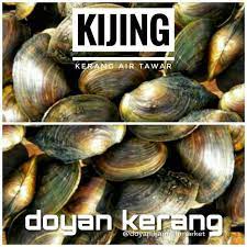 Scopri ricette, idee per la casa, consigli di stile e altre idee da provare. Kijing Kerang Air Tawar Shopee Indonesia