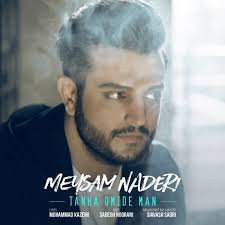 Tanha Omide Man by Meysam Naderi