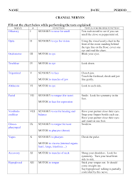 cranial nerve testing chart cranial nerves doc cranial