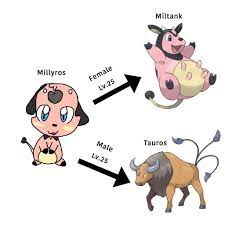Miltank and Tauros pre evolution | Pokémon Amino