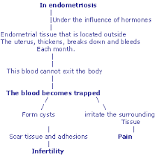 Endometriosis Physiopedia
