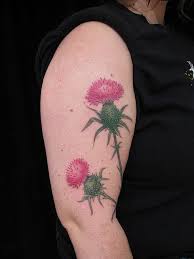 Thistles Body Art Tattoos Thistle Tattoo Tattoos