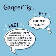 Sanctuary Sanctuarywrld Instagram Photos And Videos In 2020 Zodiac Signs Cancer Cancer Zodiac Facts Cancer Zodiac