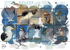 Beleef De Natuur Kustvogels In 2020 Kustvogels Postzegels Natuur