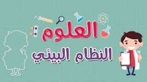 العلوم النظام البيئي Youtube