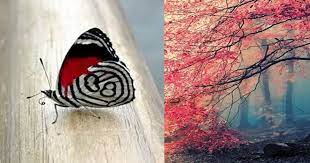 1000 Hd Wallpapers Free Download 1080p Full Screen Wallpapers For Pc Mobiles Wallpaper Pc Wallpaper Free Download Screen Wallpaper