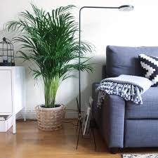 Sudseefeeling im wohnzimmer das grune telefon. Pin Auf Wohnzimmer