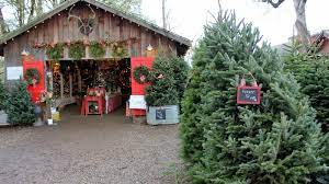 I Have Never Seen A Christmas Wonderland Like This Before Hold Onto Your Knitted Socks We Found What Christmas Farm Cool Christmas Trees Christmas Tree Farm
