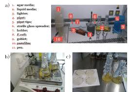 Check spelling or type a new query. 0 6 Solid And Liquid Cell Culture A Items Needed For The Cell Download Scientific Diagram