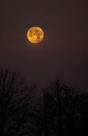 What planets are visible tonight? Yellow Moon Nighttime Full Night Dark Sky Nature Piqsels