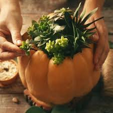 Flowers by the station proudly serves attleboro and the surrounding areas. Succulent Pumpkin Centerpieces 9 25 21 Flowers By The Station Attleboro September 25 2021 Allevents In