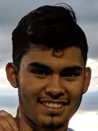 The Greenville News All-Upstate Boys Soccer Team