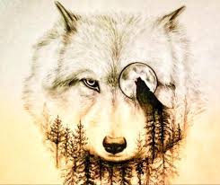 Neamt, romania, europe geographical welcome to the piatra neamt google satellite map! CÄƒsuÈ›a Din PÄƒdure Piatra NeamÅ£ Aktualisierte Preise Fur 2021