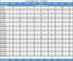 puppy weight chart this is how big your dog will be puppy