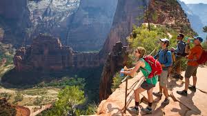 The trail follows the narrow spine to the final viewpoint. Zion Hiking Weekend See The Narrows More Rei Adventures