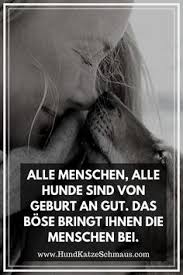 Viele menschen wissen von ihren hunden nicht viel mehr, als was sie gekostet haben. 35 Coole Hunde Spruche Hunde Zitate Ideen Hund Zitat Hundespruche Hunde