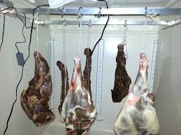 refrigerator for curing meat or aging